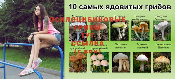 трава Медвежьегорск