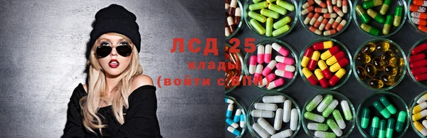 трава Медвежьегорск