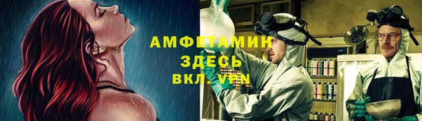 трава Медвежьегорск
